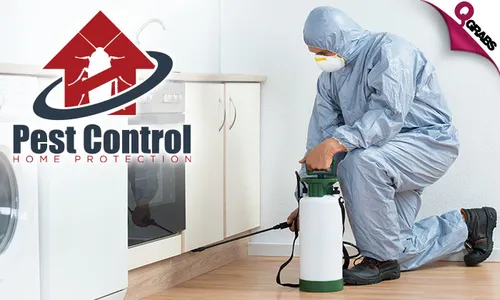 Pest Control: Cockroach & Bedbug Treatment Services!